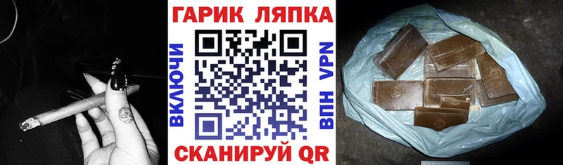 ГАШ Ice-O-Lator  Лермонтов 