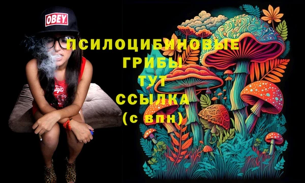 ECSTASY Алексин