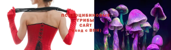 крисы Алексеевка