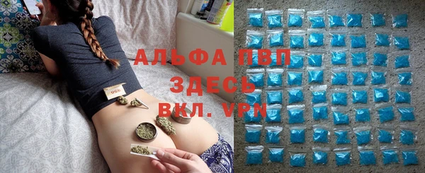 a pvp Алзамай