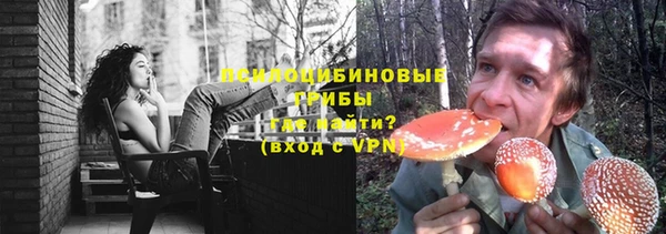 крисы Алексеевка