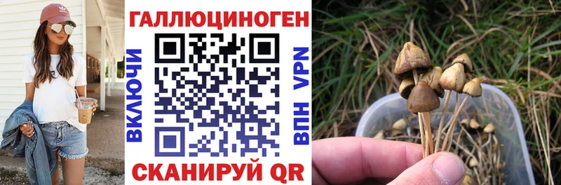 Галлюциногенные грибы мухоморы  Лермонтов 